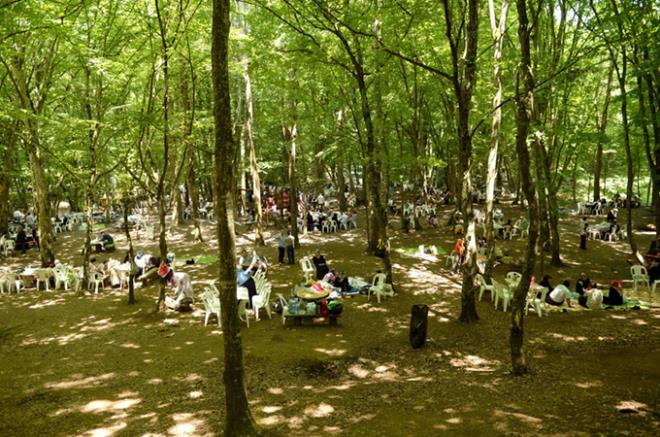 4-Piknik alanlar hafta sonu kapal olacak hafta ii de buralarda toplu olarak bulunulmayacaktr.