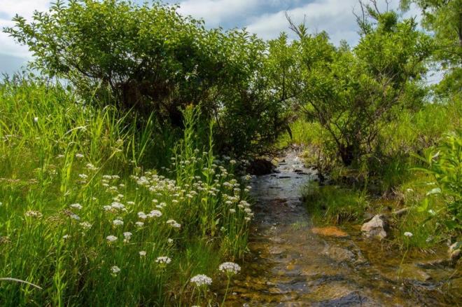 ubat - mart arasnda en yksek seviye  <br>  Katlmclar, solunum yolu hastalklarnn herhangi bir semptomunu bildirmek iin haftalk olarak temasa getiler. Aratrmaclar, her mevsimde koronavirs orannn haftalk olarak yz binde 390 olduunu saptad. ubat - mart arasnda ise bu oran en yksek seviyesine yani yz binde 759&#8217;a kt.