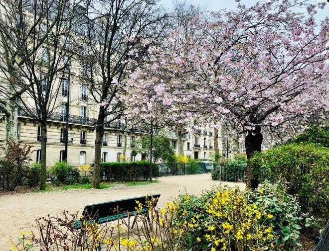 Southampton niversitesi Aratrma Grevlisi Dr. Michael Head, UCL tarafndan yaplan aratrmann yeni tip koronavirsn yaz aylarndaki seviyesine iliki yararl bir tahmin salayabileceini syledi. Ancak, epidemiyoloji ve halk salna etkisi dolaysyla yeni tip koronavirsn mevcut 'souk algnl' tipi koronavirslerden ok farkl olduunu vurgulad.