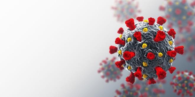 NER 4: UZMAN VE AZMANI AYIRMAMIZ LAZIM<br>  Deerli gazete ve tv yneticileri, yaynlarnza sadece &#8216;ilgili ve bilgili&#8217; ve mmknse de &#8216;tecrbeli&#8217; salk mensuplarn konuk ediniz. Daha nce de yazdm, &#8216;uzman ile azman&#8217; ayrp &#8216;bilmez insanlar&#8217; yerine &#8216;bilim insanlar&#8217;n devreye sokabilirsek iimiz kolaylaacaktr. Doru bilgilendirme ve bilgilenme srecin en nemli noktalarndan biridir.