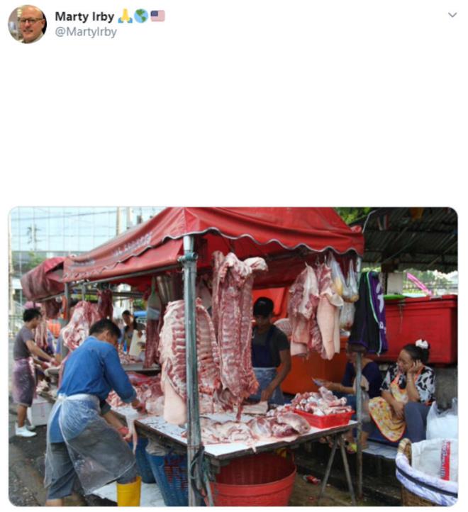 Mende nesli tehlikede olan hayvanlardan geleneksel pirin, erite ve deniz rnne kadar yemek vard.