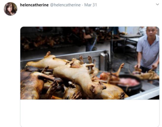 nsanlara sryor<br>  On binlerce lme yol aan gncel koronavirs salgn Vuhan kentinin deniz rnleri pazarnda ortaya kt Bir rapora gre adna ramen pazarda balktan daha ok ylan, oklu kirpi ve geyik satlyordu.