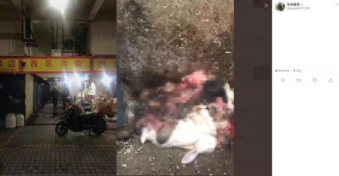 New York merkezli Vahi Yaam Koruma Dernei'nin mesaj ok ak: "Canl hayvan pazarlarn yasaklayn, yasad kaakl ve vahi hayvanlarn izinsiz avlanmasn durdurun."