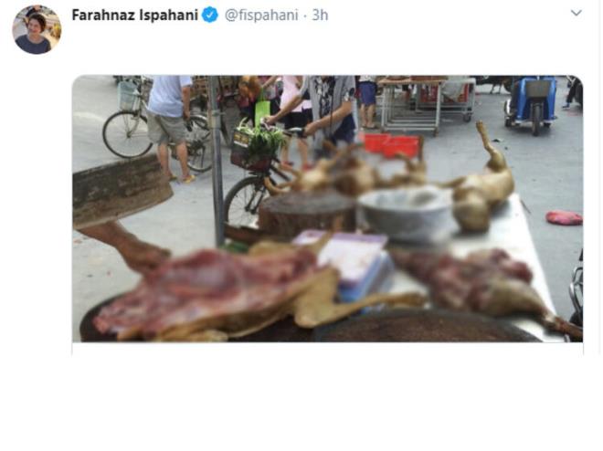 Peyman "Vahi hayvan tketimi, zellikle trler aras hastalk tayan vahi memeli hayvanlar insan sal iin ciddi bir tehdit oluturuyor. Bu hayvanlarn yaban hayatndan yasal olarak alnp alnmadn sylemek zor. Bazlar yasad bir halde karlp bu pazarlarda satlyor olabilir" diyor.