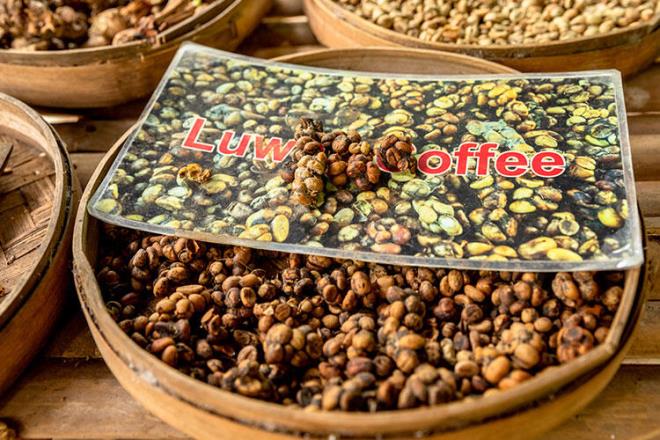 Bir dier ok pahal kahve de Endonezya&#8217;da yaayan palmiye misk kedisinin dksndan elde edilen kopi luwak&#8217;tr. Kopi luwak&#8217;n da kilogram fiyat 1100 dolar civarndadr.