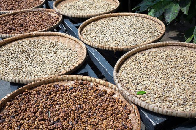 Peki kahveyle ilgili baz ilgin gereklerle tanmaya ne dersiniz? te ok aracanz o gerekler&#8230;