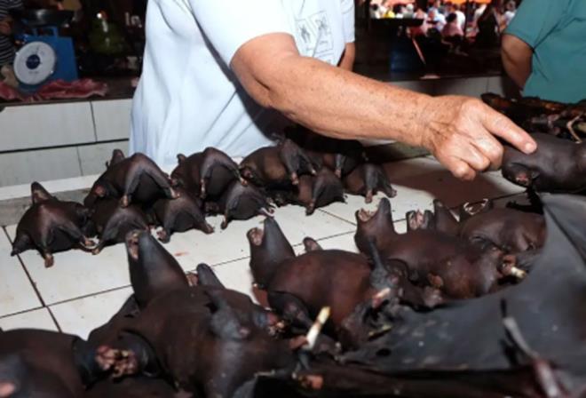 Royal Society Bildiriler kitabnda yaymlanan aratrmann ba yazar Christine Kreuder Johnson, &#8220;Hayvanlardan virs yaylmas, yaban hayat ve yaam alanlarna verdiimiz zararn dorudan bir sonucu. Onlarn habitatlarna girdiimizde hastalklarn da bizimle paylayorlar. Bu eylemler ayn anda farkl trlerin hayatta kalmasn tehdit ediyor ve virslerin yaylmasna neden oluyor. Pek ok faktrn talihsiz bir yaknsamasnda, u anda iinde bulunduumuz karklk ortaya kyor&#8221; ifadelerini kulland.