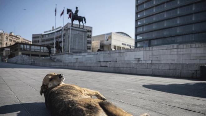 ANKARA'DA KURALLARA UYULUYOR  Ankara'da yeni tip koronavirsle (Kovid-19) mcadele kapsamnda sokaa kma yasann balamasnn ardndan cadde ve sokaklarnn bo kald gzlemlendi. Kentin en kalabalk meydanlarndan olan Ulus Meydan da bo kald.
