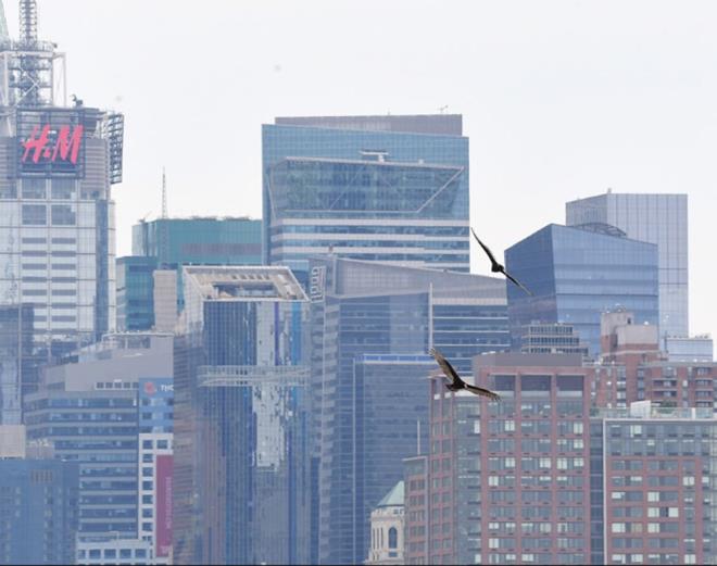 Dnyann salgn merkezi haline gelen ABD&#8217;de vaka says 765 bine yaklat l says ise 40 bin 500 bini geti. lkenin salgndan en kt etkilen New York ehrinde ise vaka says 250 bine yaklarken l says 20 bine yaklat.