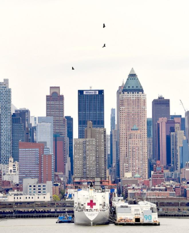 AKBABALAR NEW YORK SEMALARINI GAL ETT<br>    Bununla birlikte, giderek ktleen salgnla mcadele eden 8 buuk milyon nfsl ehirde l kokularn alan akbaba srleri  gkyzn igal etti.