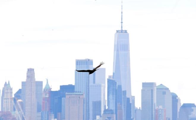 CESET TORBASI BULAMADI<br>    Olayn, Covid-19 nedeniyle hayatn kaybedenlerin cenazelerini tayan bir morg isinin ceset torbalarnn tkenmesi nedeniyle, 80 cesedi arafa sararak tamasnn ardndan meydana geldii belirtiliyor.