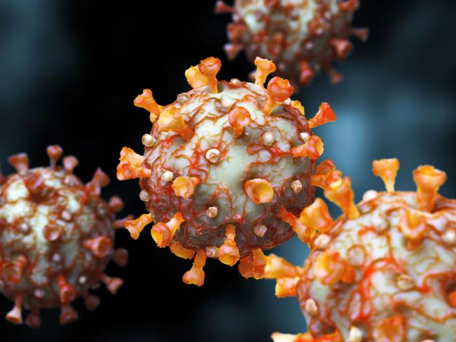 COVD-19'DAN KORUNMAK N GEREKL OLAN ANTKOR SEVYES HENZ BLNMYOR<br>  Uzmanlar, henz yeniden Covid-19&#8217;a yakalanma ihtimaline kar korunmak iin gereken antikor seviyesi hakknda yeterli veriye sahip deiller.