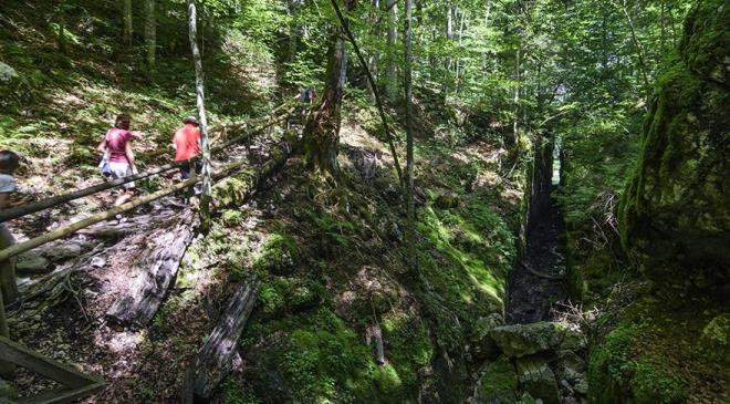 Zengin bir balk eidini de barndran glde, sportif balklk da yaplabiliyor. Turistlerin sevdii aktivitelerden biri de glde tekne turuna kmak.