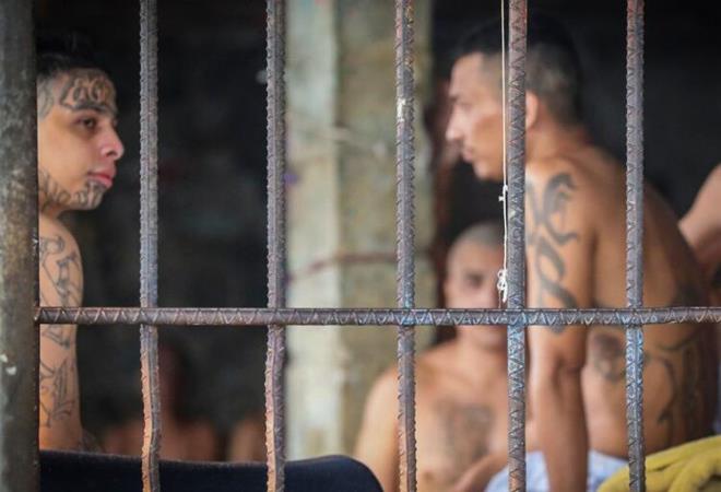 Salgnn ortaya kt in ana karasnda ise 82 bin 830 vaka kayda geti.