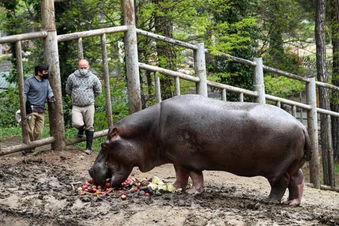 Uzmanlar &#8220;evre standartlarn gevetmek ve youn tarm, havayolu, fosil yakt baml enerji sektrlerini glendirmek siyaseten faydal olabilir, ancak bunu acil ve kkl deiiklikler olmadan yapmak, znde gelecekteki pandemilerin ortaya kmasn sbvanse eder&#8221; dedi.