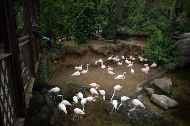 Dazsak, &#8220;Bahsettiimiz programlar ylda on milyarlarca dolara mal olacak. Ama bir yzylda sadece bir pandemi bile yaasanz, bu trilyonlarca dolara mal oluyor. Yani yine yatrmnzdan ok iyi bir geri dn alyorsunuz&#8221; dedi ve yle devam etti: