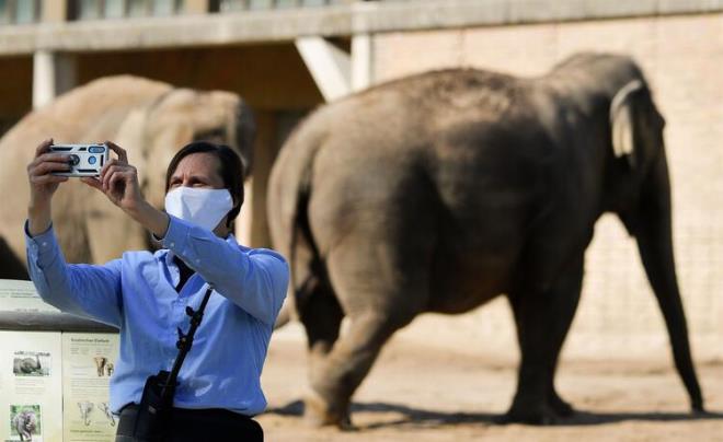 &#8220;Son dnemdeki salgnlar, insan faaliyetlerinin dorudan sonular, zellikle de her ne pahasna olursa olsun ekonomik bymeye nem veren kresel mali ve ekonomik sistemlerimizin."