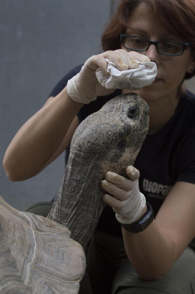'Bunu kendi kendimize yaptk'<br>  Geen hafta BM Genel Sekreteri Antonio Guterres de hkmetlerin bu frsat kullanp salgndan sonra daha srdrlebilir ve dayankl toplumlar yaratarak, &#8220;daha iyisini ina etmesi&#8221; gerektiini sylemiti.