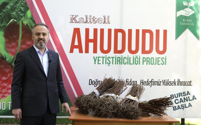 ncelikle kaliteli, verimi ve dayanm yksek rn retimini arttrarak ahududu ithalatnn nne gemeyi, daha sonra ise ihracat hedefliyoruz. iftilerimize verdiimiz fidanlarn toplam maliyetinin yarsn biz karlyoruz. Kalan ksmnn yarsn ilk hasatta dier yarsn bir sonraki seneki hasattan sonra alyoruz. Yani iftimizi hem sbvanse ediyor hem de finansman olarak da destekliyoruz. u an iinde bulunduumuz zel durum sebebiyle, fidanlar iftilerimizin ayana kadar gtrp teslim ediyoruz. Bu gnleri elbirliiyle atlatp hasatta bahede bulumak midiyle; tm reticilerimize bereketli gnler diliyorum&#8221; diye konutu.  <br>  BURSA BYKEHR BELEDYES