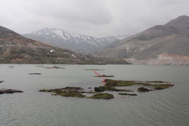 Birok alann ziyarete kapatlmasyla elikhan'n simgesi olan at Baraj zerindeki yzen adalar da yalnz kald.