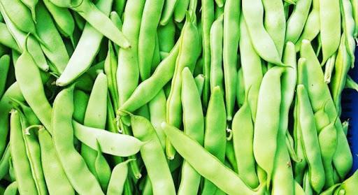 Mevsim D Tarm rnleri   <br>Taze Fasulye  -32,11