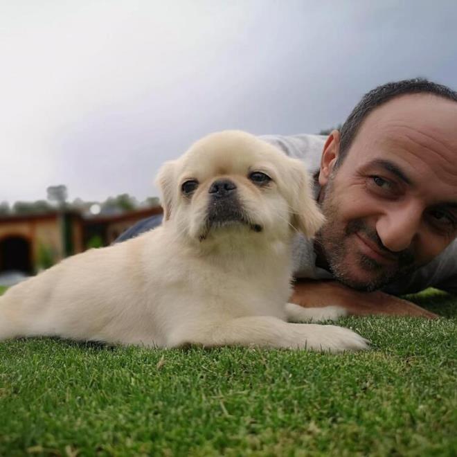 Hakan Hatipo�lu: �aka gibi, bence #survivor2020 b�y�k bir de�erini bir sakatl�k sonucu kaybetti. Ersin Korkut yaz�k oldu...