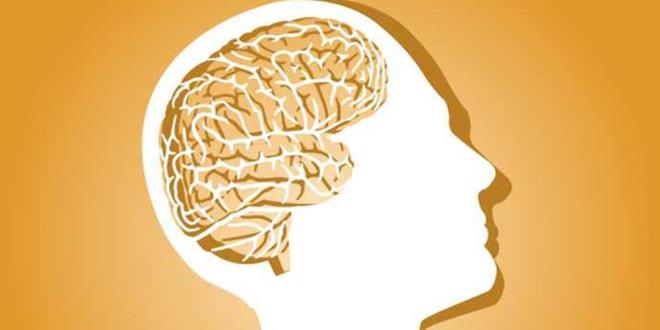 Olduka basit gibi grlen soruya 4 ile 44 arasnda onlarca cevap geldi.