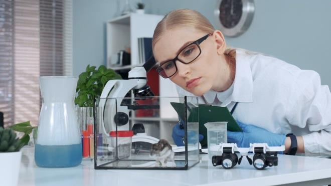 Kafeslerin hi rlmedii deneylerde ise hamsterlarn te ikisi Kovid-19&#8217;a yakaland. Enfekte hamsterlarn bulunduu kafesin rtlmesi ise salkl hamsterlara Kovid-19 bulatrma orann yzde 75 drd.