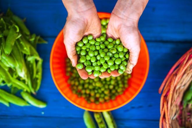 50. KABUKLU BEZELYE<br>    M�kemmel bir protein, karbonhidrat, lif, mineral ve suda ��z�nen vitamin kayna�� olan bezelyenin 100 gram 42 kalori.