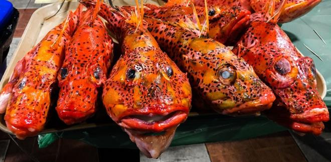 20. PAS�F�K MOR�NASI<br>    Ya� asitleri ve D vitamini bak�m�ndan zengin, �nemli bir bal�k ya�� kayna��.