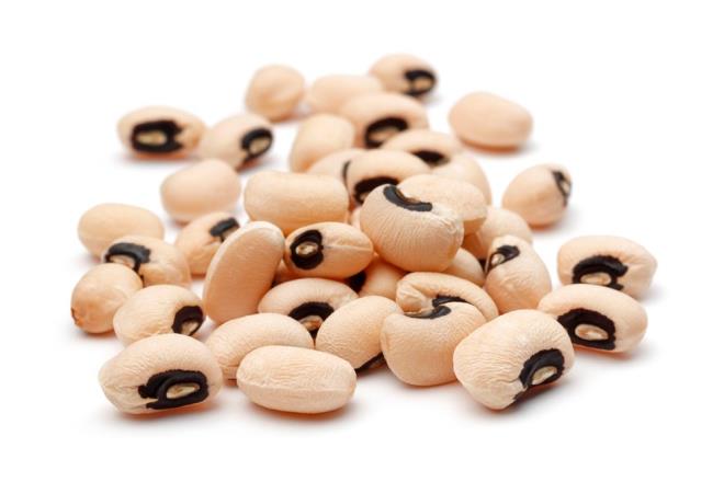 49. B�R�LCE  <br>  Bir�ok baklagildeki gibi b�r�lcede de karbonhidrat bak�m�ndan zengin, tah�llardan daha fazla protein i�eri�i bulunuyor. Kalorisi, 100 gramda 44.