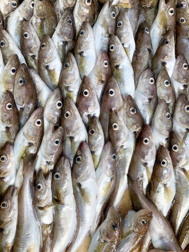 32. MEZG�T<br>    100 gram�nda 90 kalori bulunuyor.