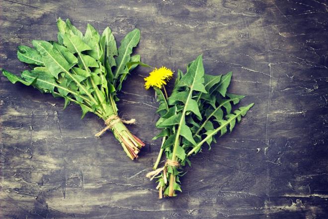 23. KARAH�ND�BA YAPRA�I<br>    M�kemmel bir A vitamini, C vitamini ve kalsiyum kayna��.