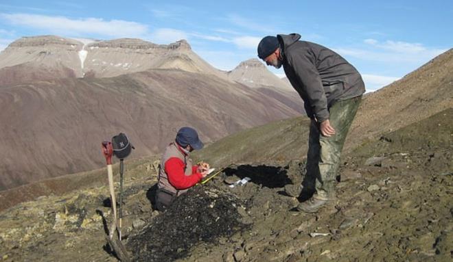 Aratrmaclar, 360 milyon yl nce meydana gelen ozon tabakasndaki paralanmayla ultraviyole nlarnn yayd radyasyon miktarnda hzl bir art meydana geldiini syledi.