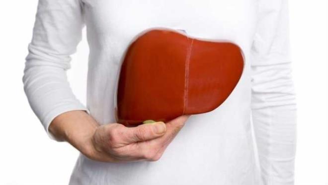 Dut yaprann karacierdeki hcreleri temizlemesine yardmc olduu bilinmektedir.