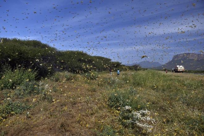 Halihazrda gda yetersizlii yaayan milyonlarca Dou Afrikal iin durumun ciddileecei vurguland.