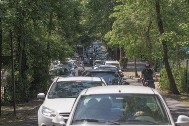 Orman giriinde uzun ara kuyruklar olutu.