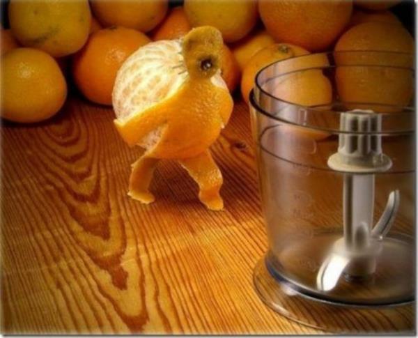 Yarat�c�l�k da s�n�r tan�mayan tasar�mc�lardan farkl� meyve tasar�mlar�...