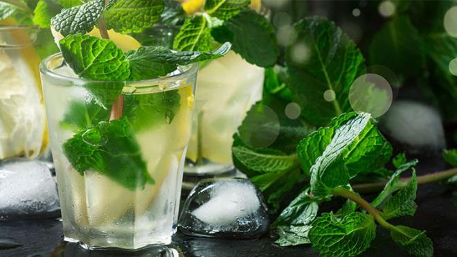 Bu iecein en iyi ksm yeil ayn ya oksidasyonunu desteklemesi ve inslin duyarlln ve glikoz toleransn gelitirmesidir. stelik bugn yapacamz bu yeil ay limonatada tarn, limon ve bal da var!Demlenmi yeil ay temelde su bazldr. Herhangi bir karbonhidrat veya ya iermez. ekersiz iildiinde hibir kalori deeri yoktur.