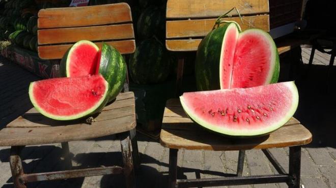 Aydn&#8217;da sezonun ilk karpuzlar tezgahlardaki yerini almaya balad.