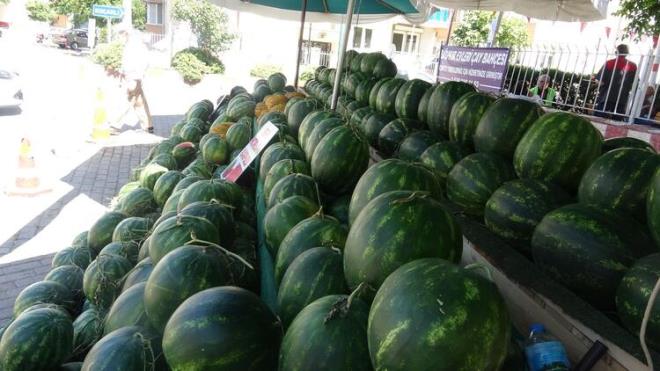 "Kabak al karpuzun sap kaln, gbei derin olur. inde damar vardr, sert olur. ekirdek karpuz ise gbei yuvarlak ve sap incedir."