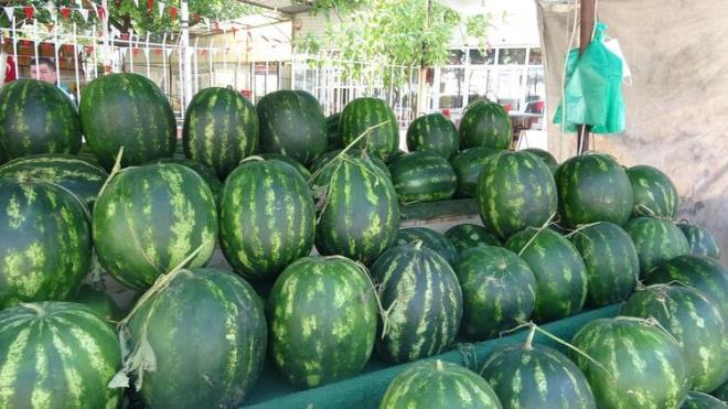 Adana, Mersin ve Antalya karpuzundan sonra Aydn ve ilelerinde retilen karpuzlar da tketicilerin en ok tercih ettii meyve haline geldi.
