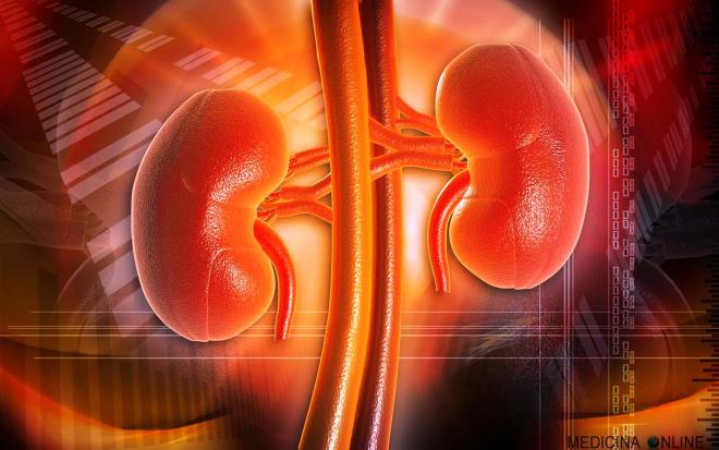 BBREK SALIINI KORUR<br>  Karacier ve bbrekler toksik maddelerin vcuttan atlmasn salyor. Yeterince su iilmezse toksinler vcuttan atlamyor, idrar miktar azalp rengi koyulayor. Minerallerin birikimi ile bbrek ta oluumu, toksinlerin karacierde birikimi ile de hepatitler ve karacier hasar meydana geliyor. Bu nedenle her gn yeterli miktarda su imek hayati nem tayor.