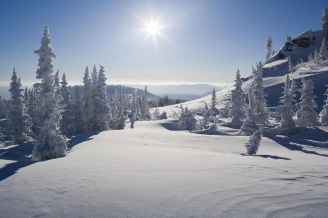 Aratrmaclar, kutup blgelerindeki scaklklarn okyanus akntlarnn tad s nedeniyle hzla ykseldiini ve buzullarn eridiini aklad.