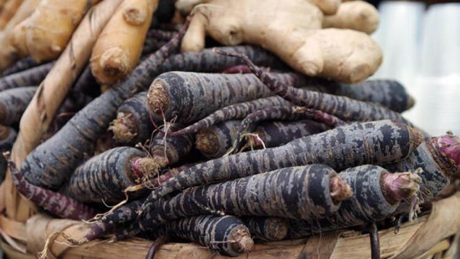 Bu dnemde havular mor ya da beyaz olarak karmza kyor. Hala birok rengi ve eidi bulunan havu, iftiler tarafndan lezzetlendirilip gnmze sunuldu.