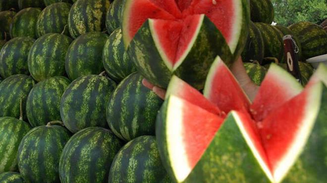 Sadece in ile snr kalmyor, Asyallar'n genetii deitirilmi kp eklinde olan karpuzlar da gnmzde ok konuuluyor. Sonu olarak imdiki karpuzlar daha sulu ve krmz renginde olsa da birok insan tadnn deitiini dnyor.