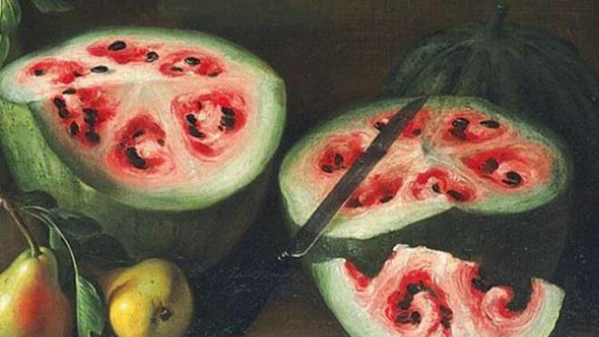 Scak havalarn vazgeilmezi, krmz ve bol sulu karpuz da genetii deitirilen meyveler arasnda. Ressam Giovanni Stanchi'nin 17. yzylda sergiledii bu resmi, modern dnyada kimsenin grmedii bir karpuz trn bize yanstyor. Bilim insanlar 17. yzylda yetitirilen bu karpuzlarn iinde spiral ekillere rastlandn ve kesildiinde alt adet gen parasnn ortaya ktn belirtiyorlar.