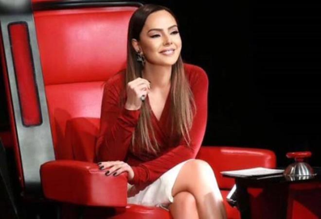 45 yandaki arkc, 3 yl nce de 'O Ses Trkiye'de jri yelii yapm ve bir kez ampiyonluk yaamt.