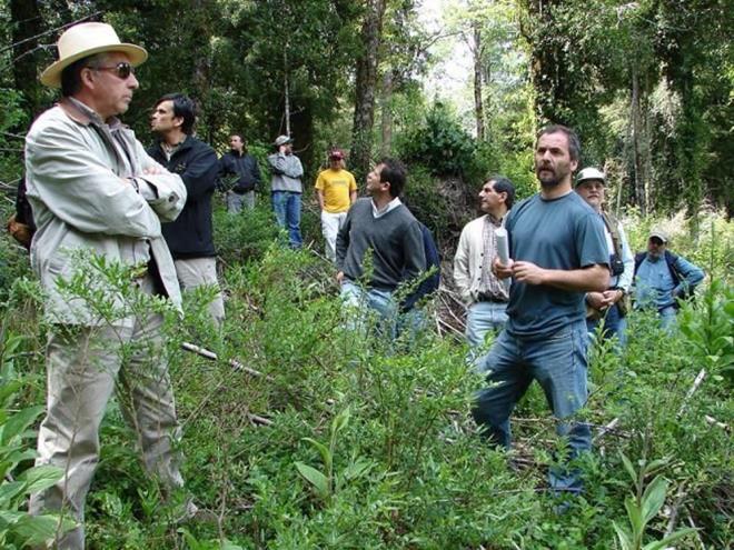 AA DKMEK KLM SORUNLARINI ZEMEZ  <br>    Aratrmaclar, sadee topraklarn zaten karbon asndan zengin olduu yerlerde, yeni aa dikmenin bu younluu azaltabileceini syledi.  <br>  Aratrmann ba yazarlarndan Dr. Anping Chen, &#8220;nsanlara tek bana aa dikmenini iklim deiiklii iin pek de bir ey ifade etmediini anlamalarn bekliyoruz. Aalandrma, farkl paralarn birok teknik detayn ve dengesini ierir ve tm iklim sorunlarmz zemez&#8221; dedi.  <br>  Her iki alma da Nature Sustainability dergisinde yaynland.