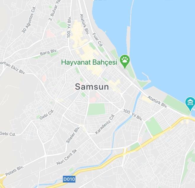 Samsun gnlk ortalama vaka saysn 2 hafta iinde 20.42 orannda azaltlmtr.